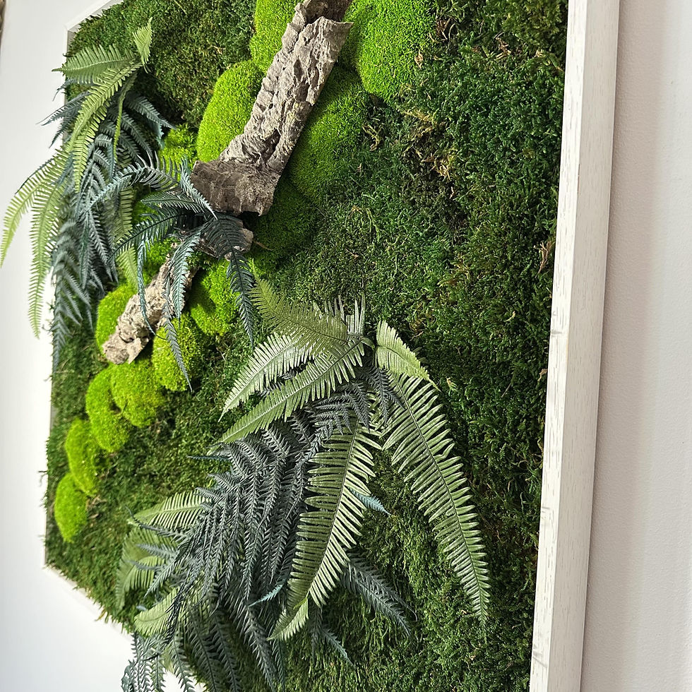 Miniature : Cadre végétal Bélouve |  70 x70 cm