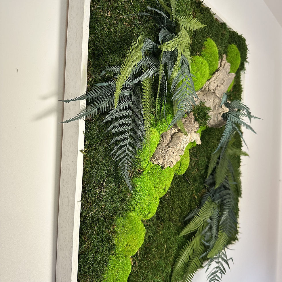 Miniature : Cadre végétal Bélouve |  70 x70 cm