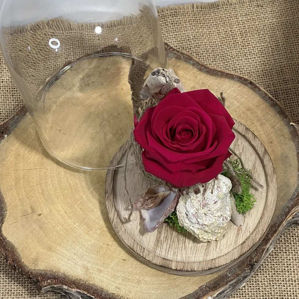 Miniature : Cloche Rose éternelle Lumineuse | 10 x 15  cmcm