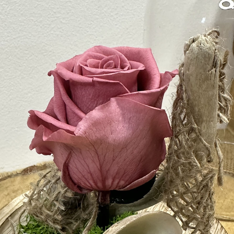 Miniature : Cloche Rose éternelle Lumineuse | 10 x 15  cmcm