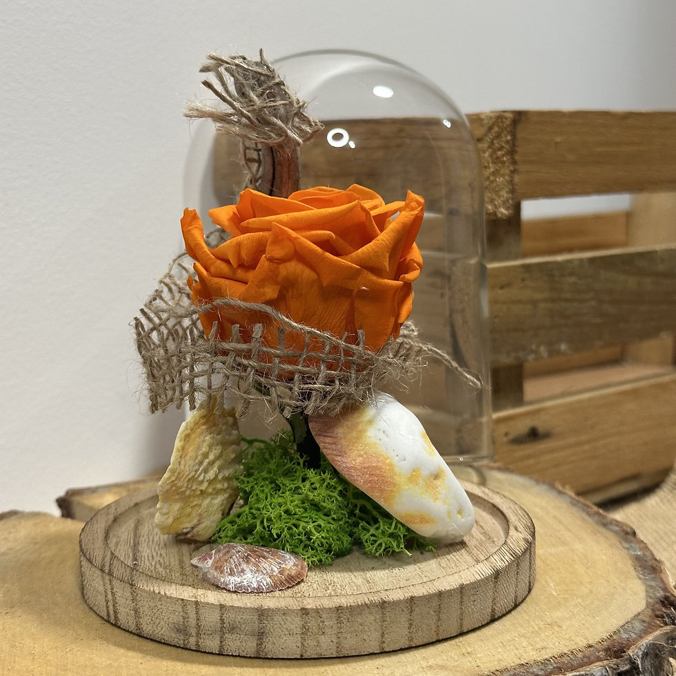 Miniature : Cloche Rose éternelle Chaleur |  10 x 15 cm