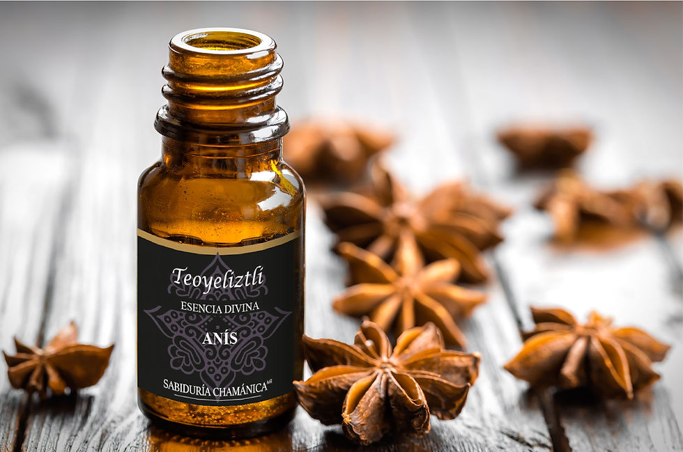 Miniatura: Aceite Esencial Anís