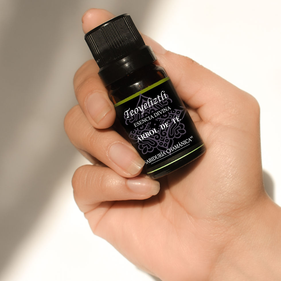 Miniatura: Aceite Esencial Árbol de té