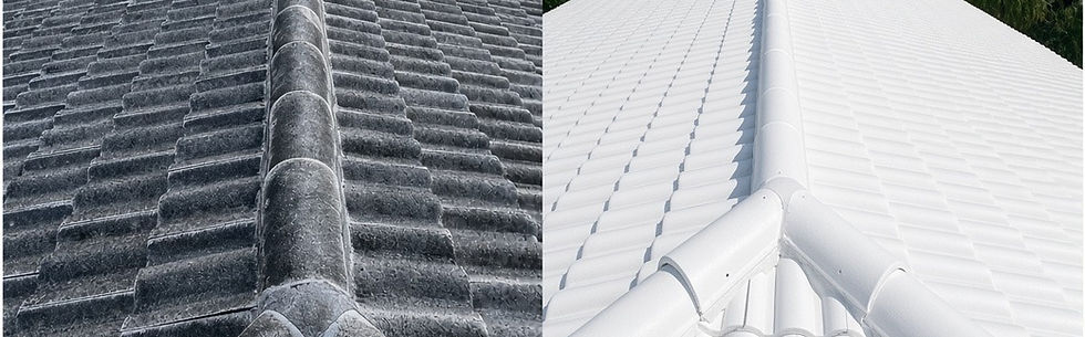 roof-white-before-after-ordered.jpg