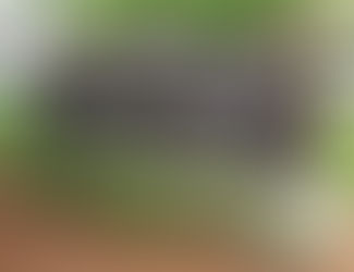 Capital Campaign is going strong!