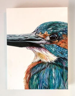 Kingfisher