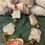 Thumbnail: Wilma Loves Jasper