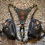 Thumbnail: Oregonian Leather Holsters