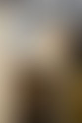 Laminated Bronze Tint Reeded Window 