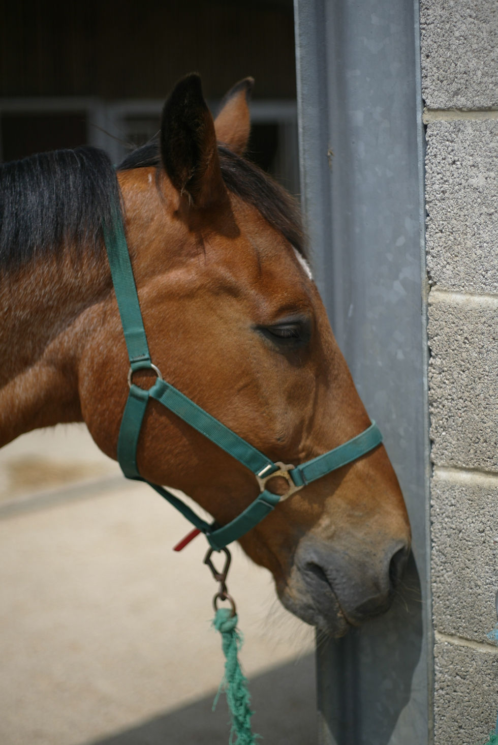 jake sparsholt open day