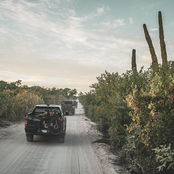 Camionetas recorriendo un camino de tierra entre cactus