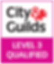 City & Guids Level 3 Qualified