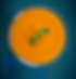 Ras | Sweet Mango Pulp (D)