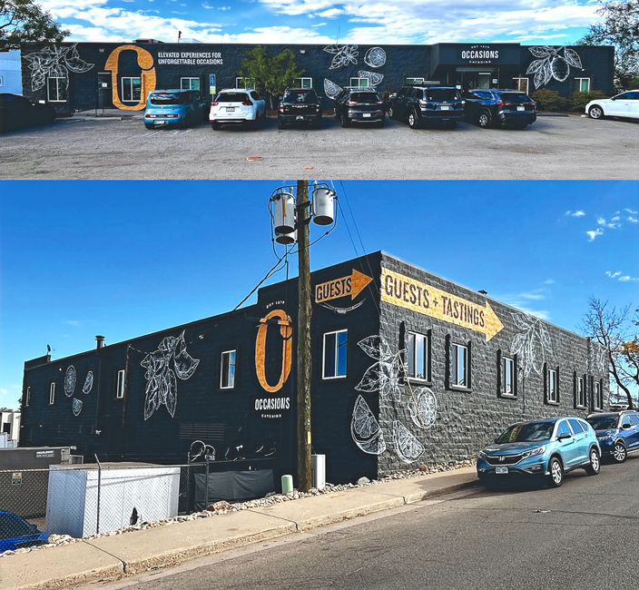 Colorado murals, Denver artist, Denver painter
