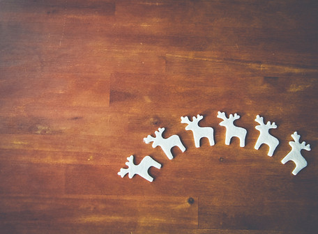 White Reindeer on Wooden Surface