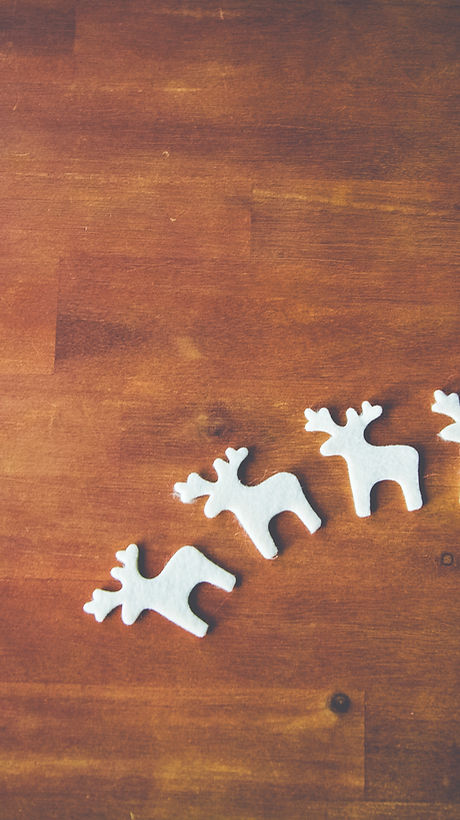White Reindeer on Wooden Surface