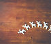White Reindeer on Wooden Surface