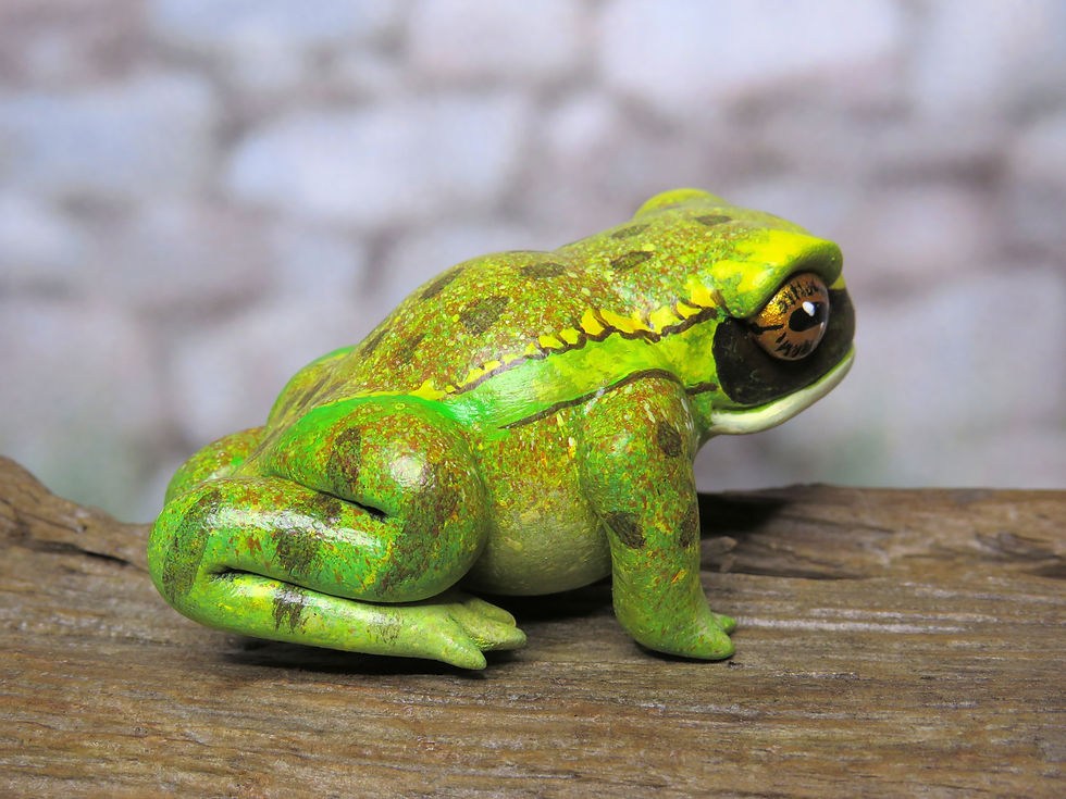 Thumbnail: Mini Gourd Frog #298- Yellow white-lipped treefrog