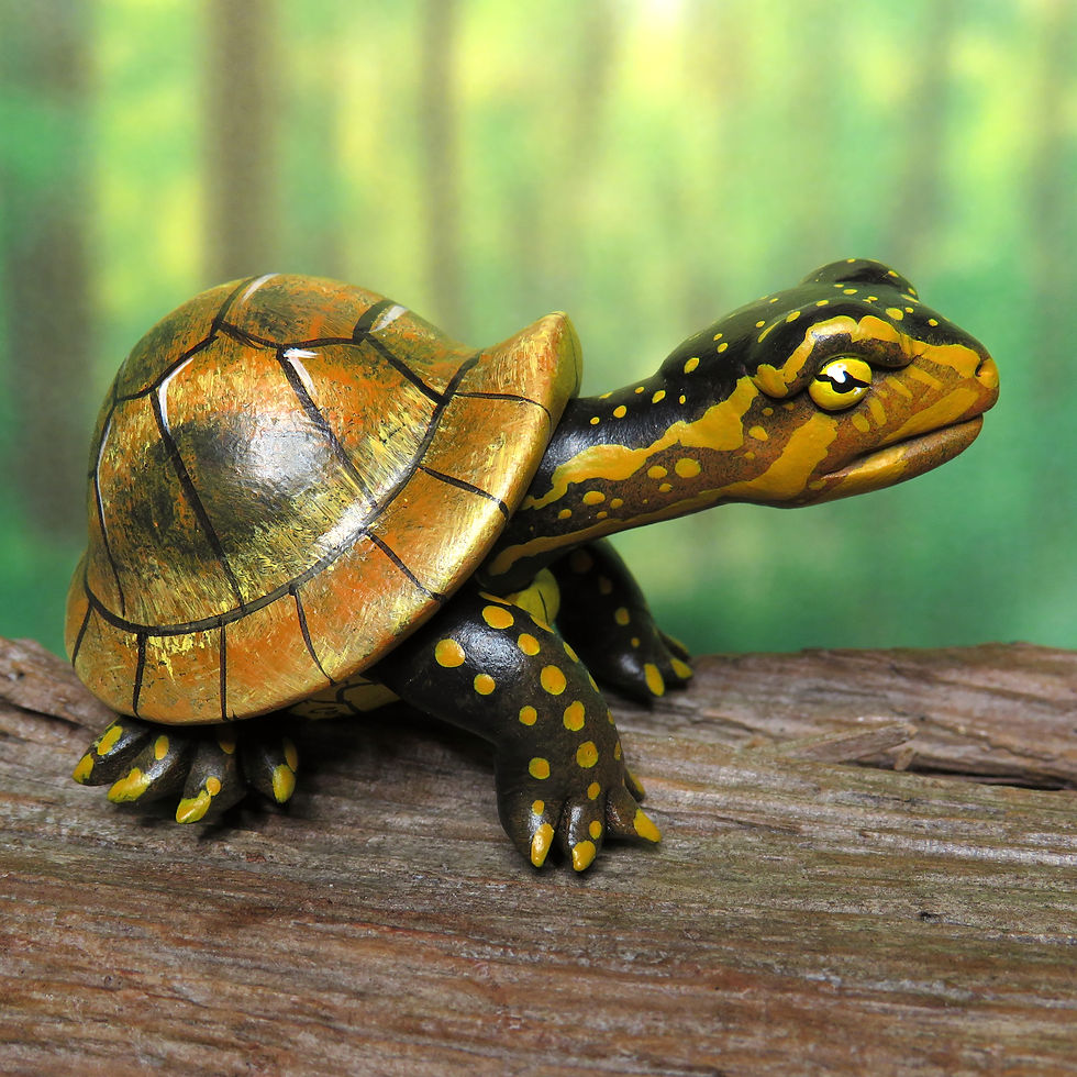 Thumbnail: Gourd Turtle: Striped Mud Turtle (#M15-8)