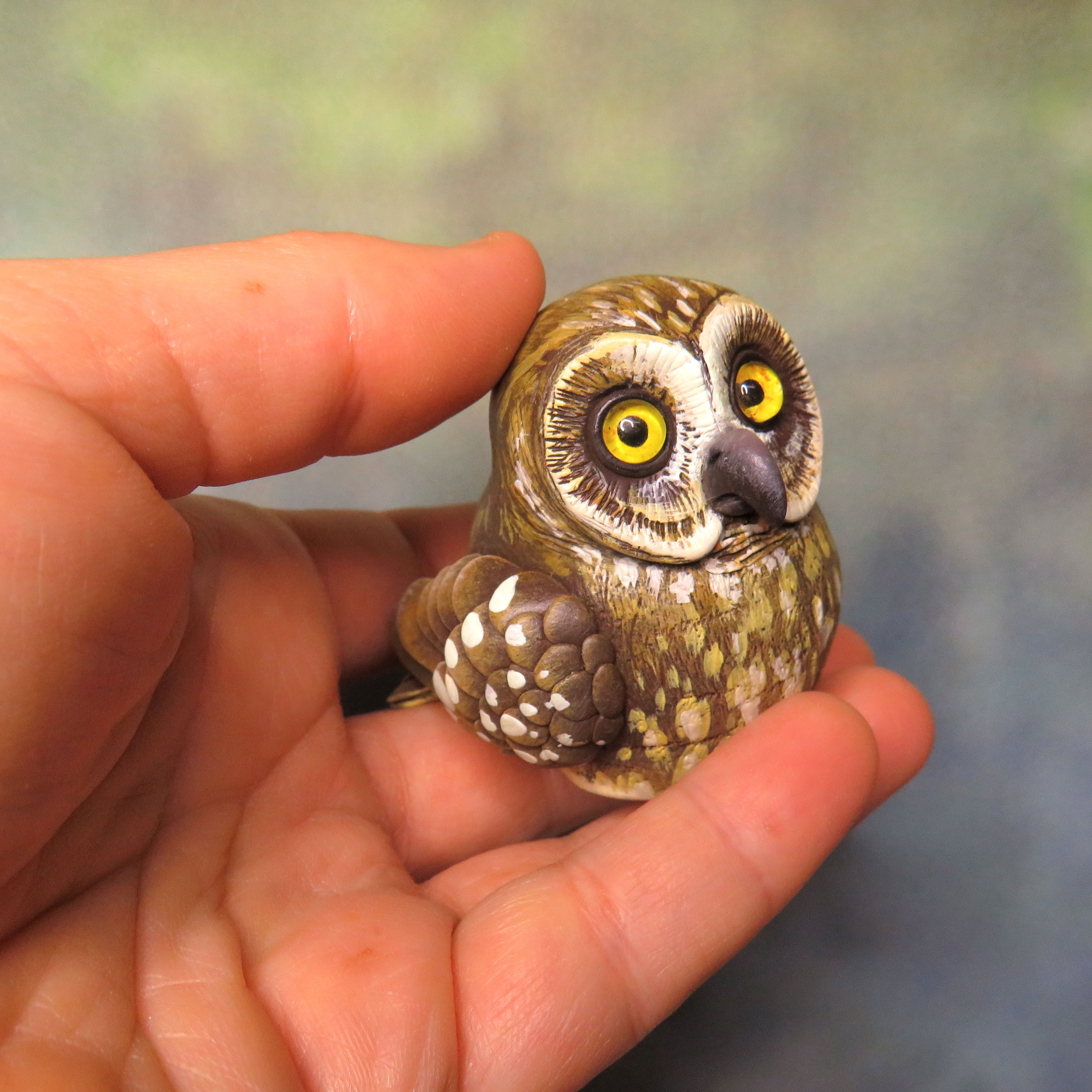 Mini Gourd Owl #95- Southern Boobook