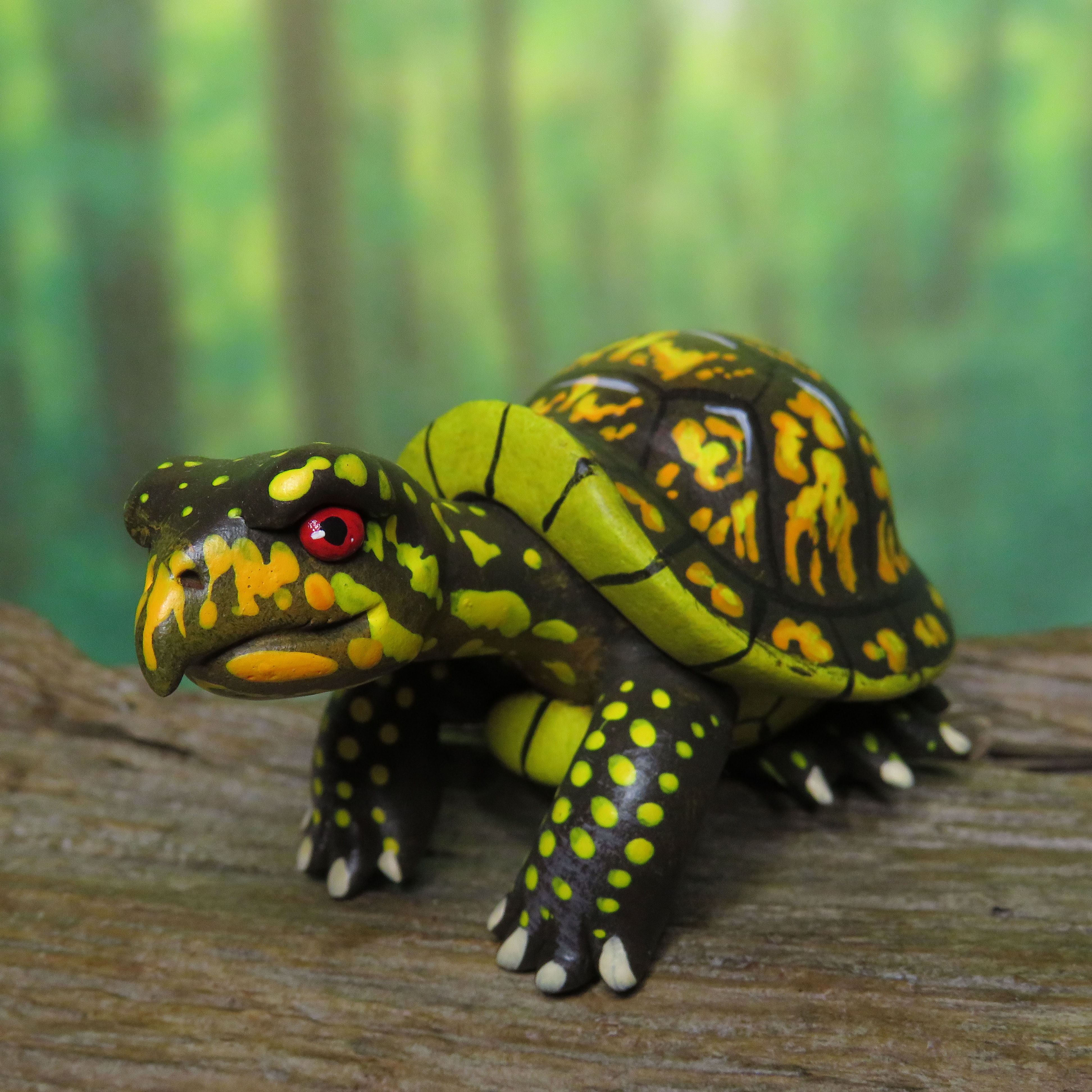 Gourd Turtle: Eastern Box Turtle male (#M28-64)