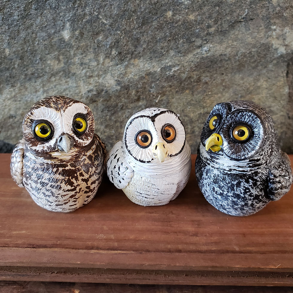 Thumbnail: Mini Gourd Owl #93- Barred Owl