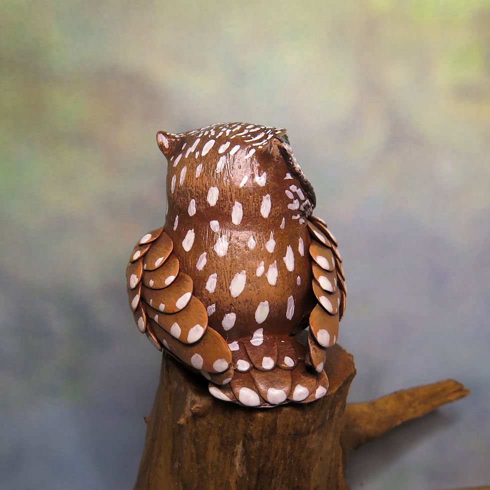 Thumbnail: Mini Gourd Owl #92- Boreal Owl