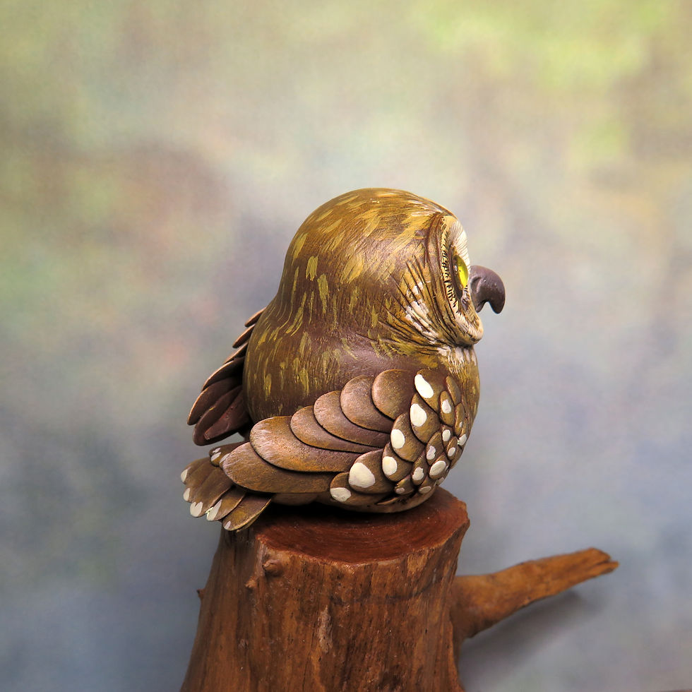 Thumbnail: Mini Gourd Owl #95- Southern Boobook
