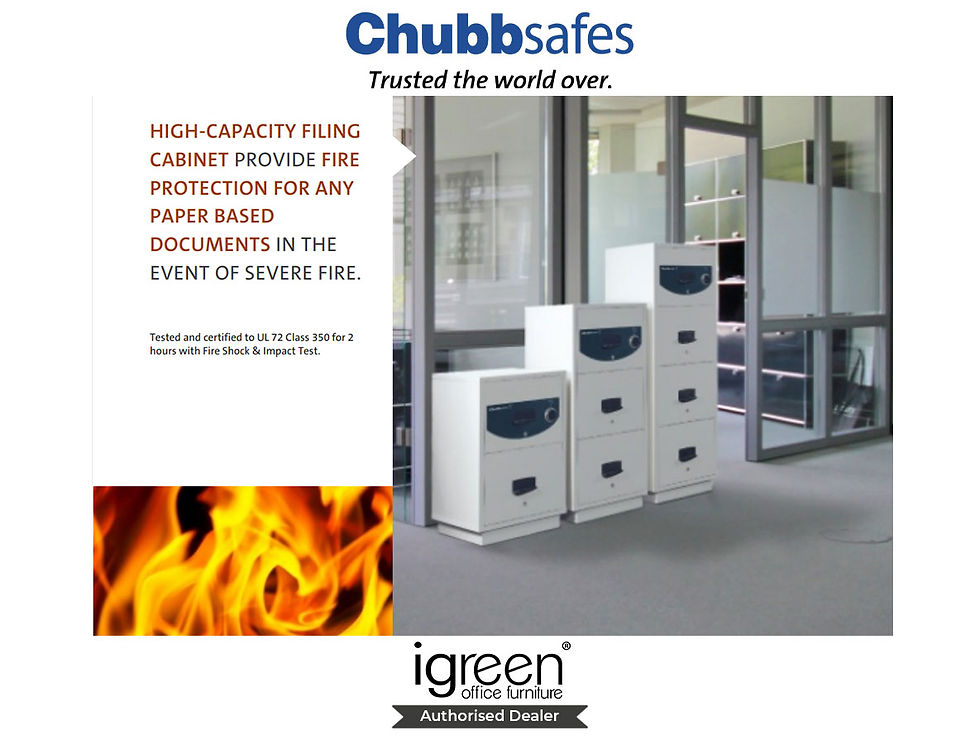 縮圖：Chubbsafe RPF 9000 Front View