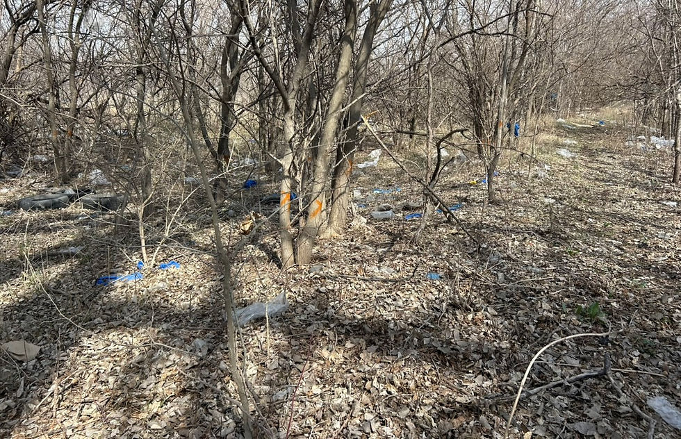 SUPER FLASH TRASH MOB EVENT! Carter Lake area.