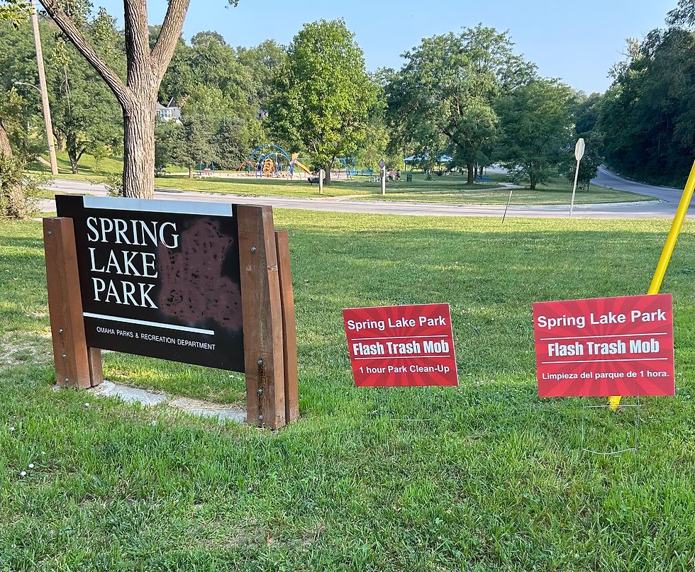 SPRING LAKE PARK Flash Trash Mob May 31, 9:30-10:30am