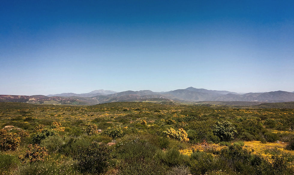 a scenic view of mountains in the distance_edited.jpg
