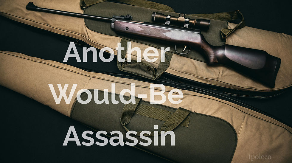 Another Would-Be Assassin