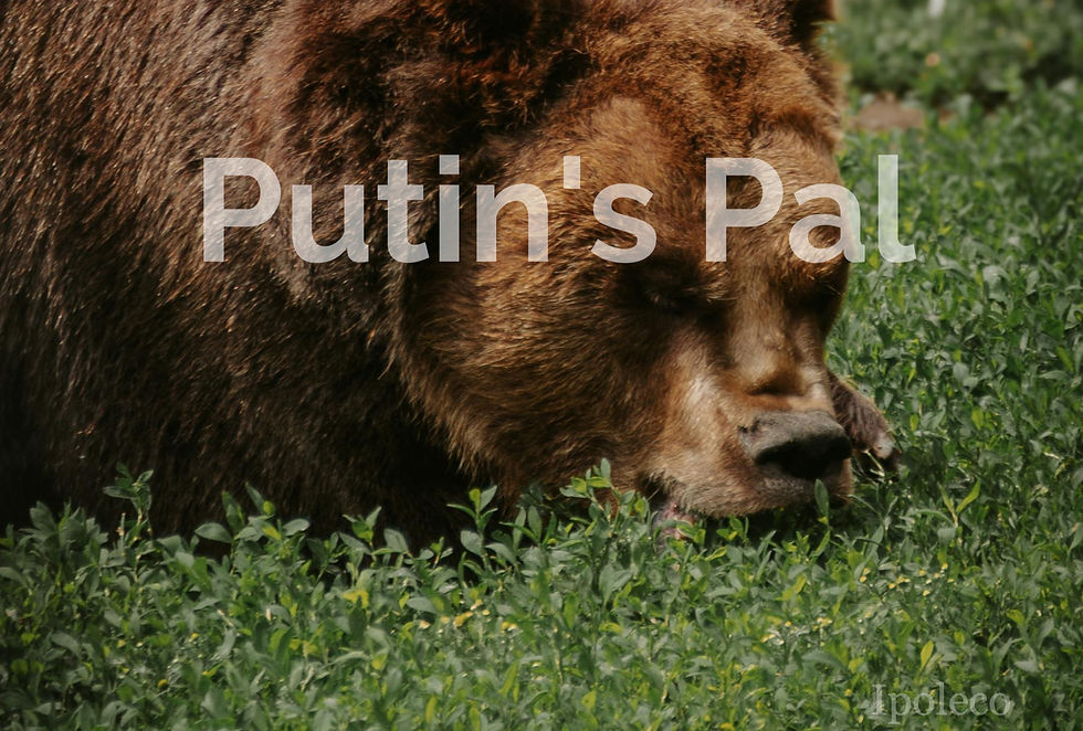 Putin's Pal