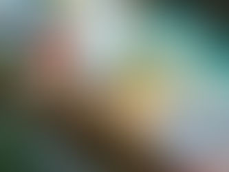 Thoughts on the Iran War