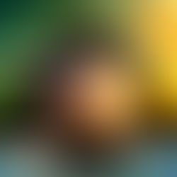 Predictions for 2026