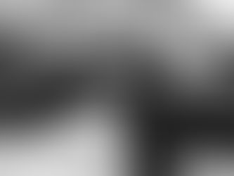 The Great NATO Debate