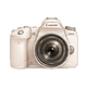 CS-IC-3.png