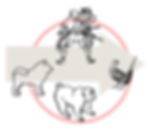 桃太郎例2_edited.jpg