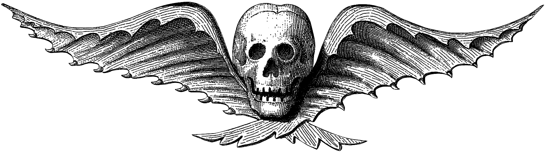 skullwings.gif