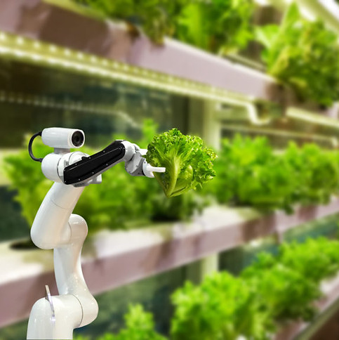 robot arm plant 2.jpeg