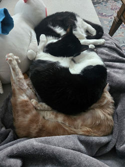 28DC170D-B23B-4BD0-9DC1-DE04686284E7