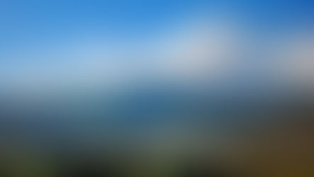 TUCUMÁN – PROCEDIMIENTO