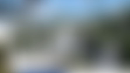 MISIONES. INGRESOS BRUTOS