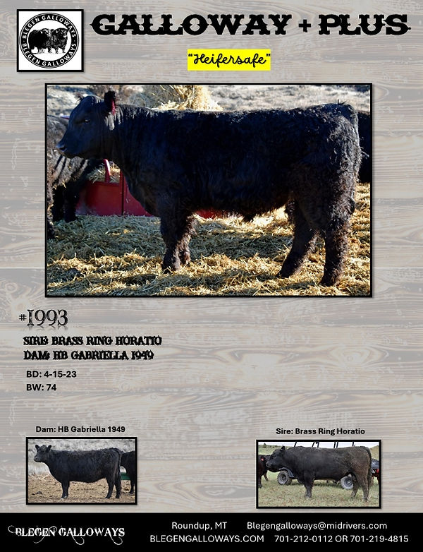 1993 bull.jpeg