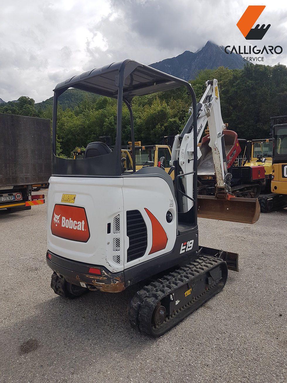 Miniatura: BOBCAT E19