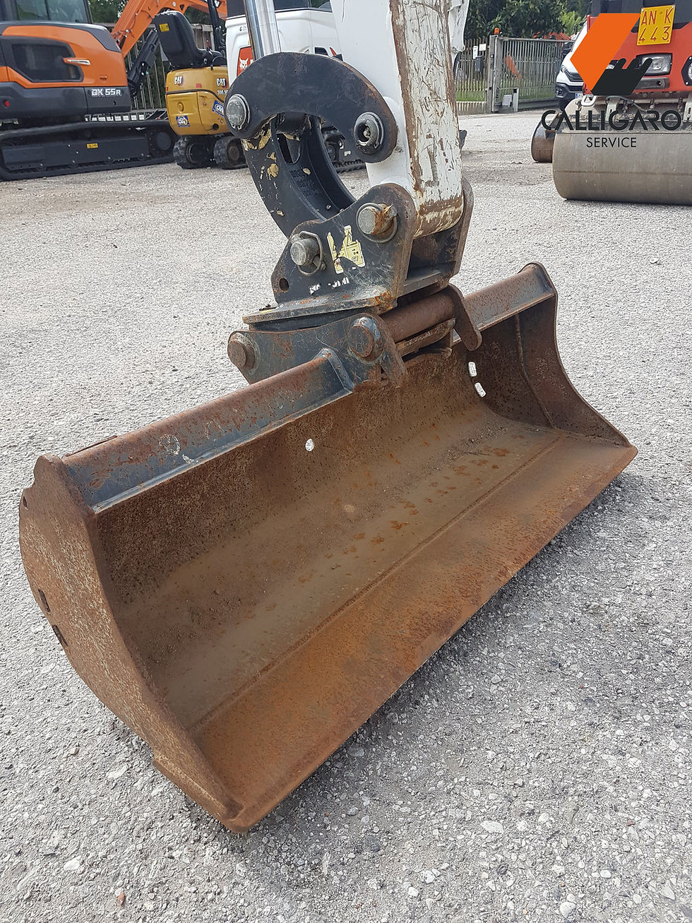 Miniatura: BOBCAT E19