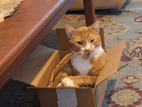 Mr. Bob's Story - Part 2