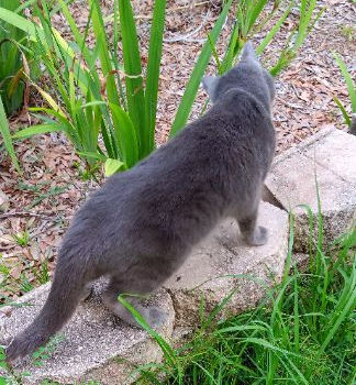 First day learning to walk again