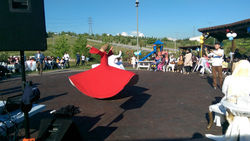 IMAG0974